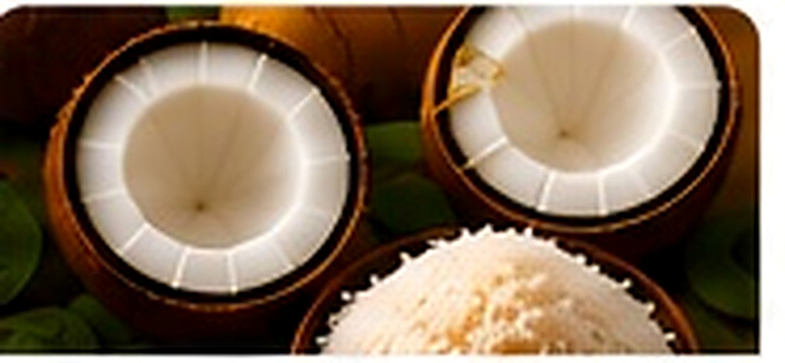 Coconut Products