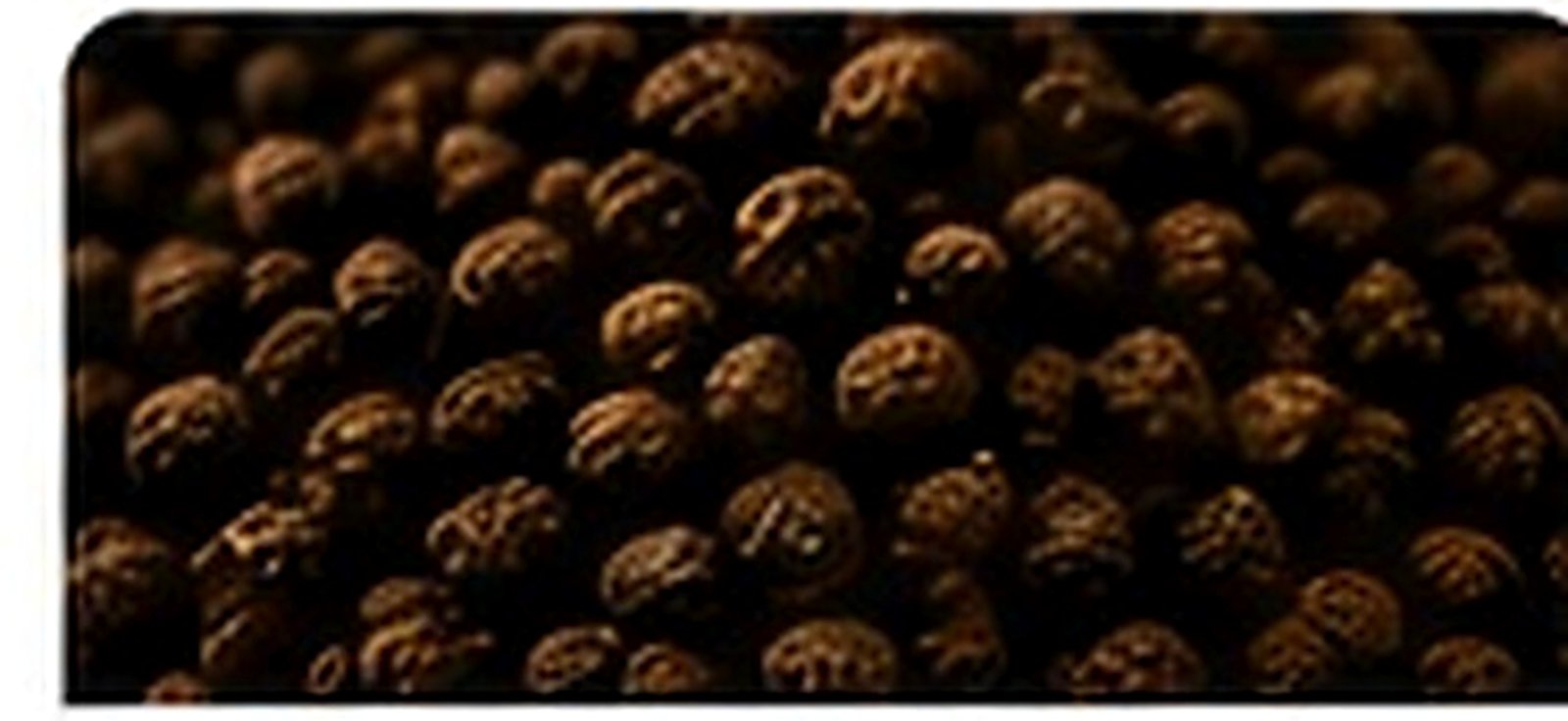 Black Pepper